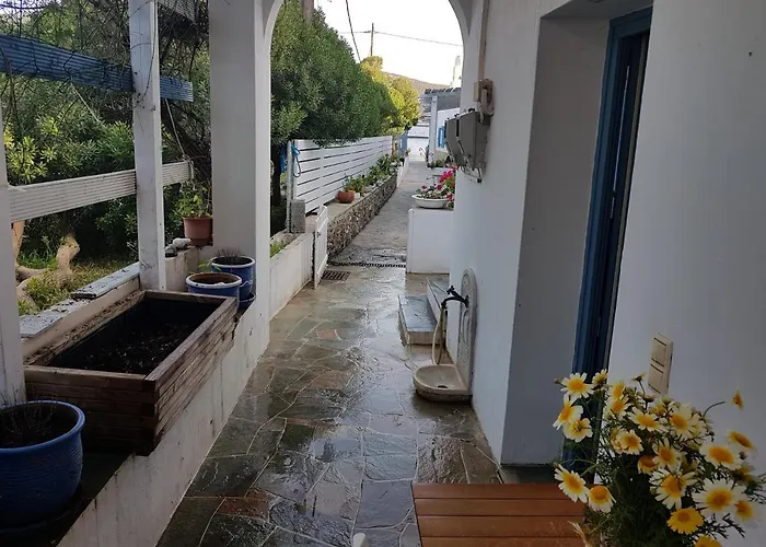 Captain Yannis * فاثي